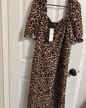 Zara Leopard Print Puff Sleeve Midi Dress